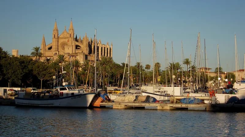 La catedral de Palma sobre el puerto deportivo