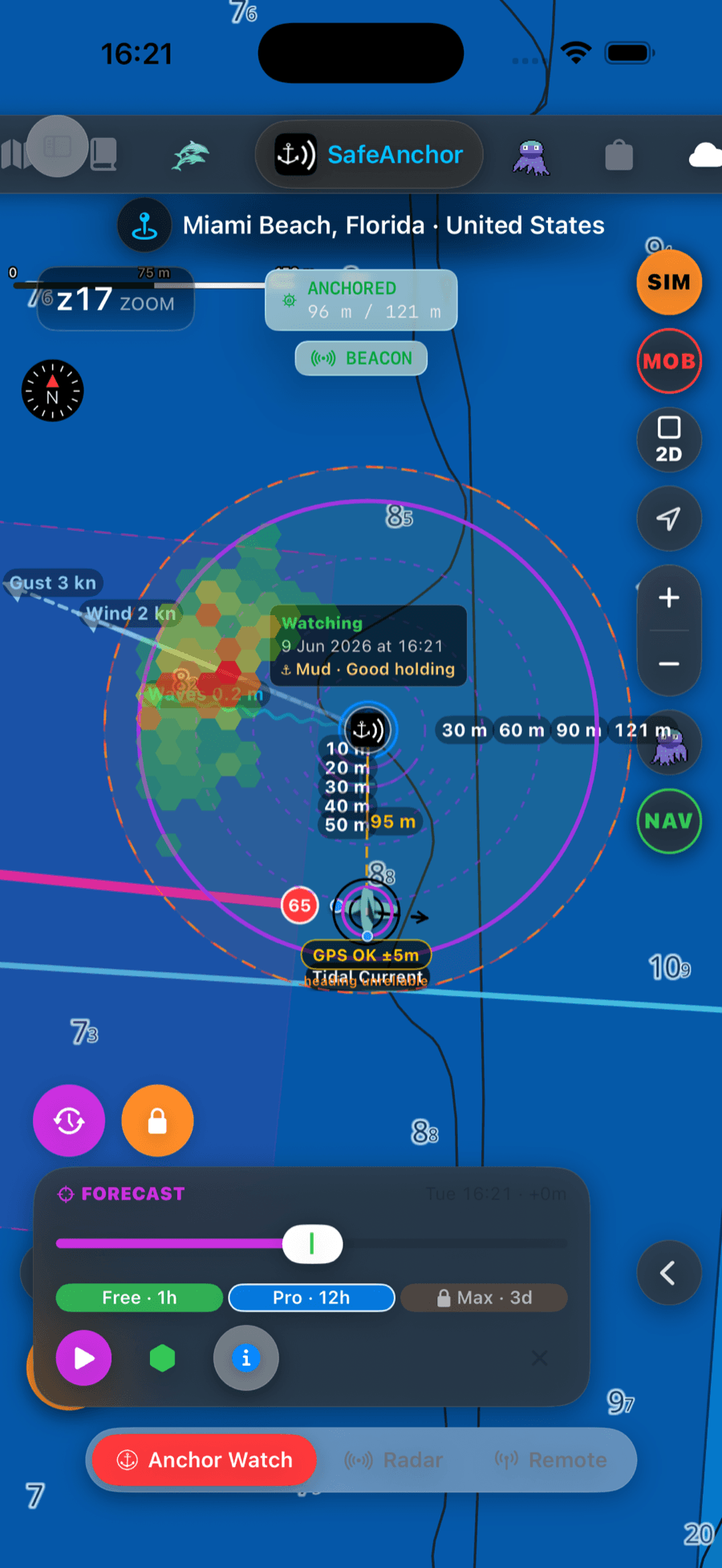 Anchor watch with drift forecast