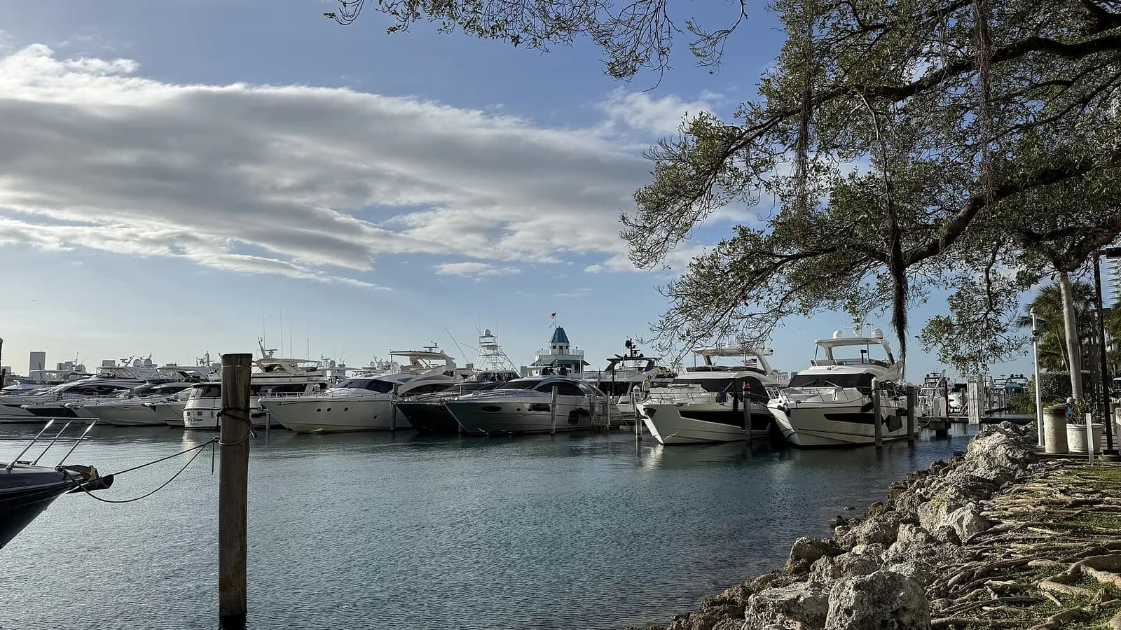 Yachter i Miami Beach Marina