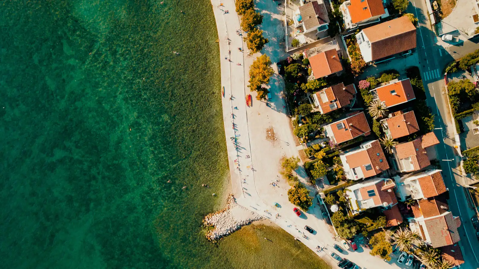 bird's eye view photography of buildings near body of water