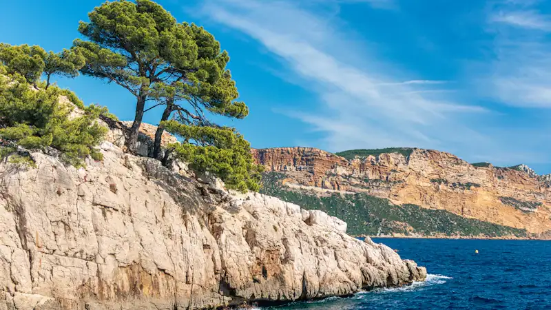 green trees on brown rocky mountain beside blue sea under blue sky during daytime