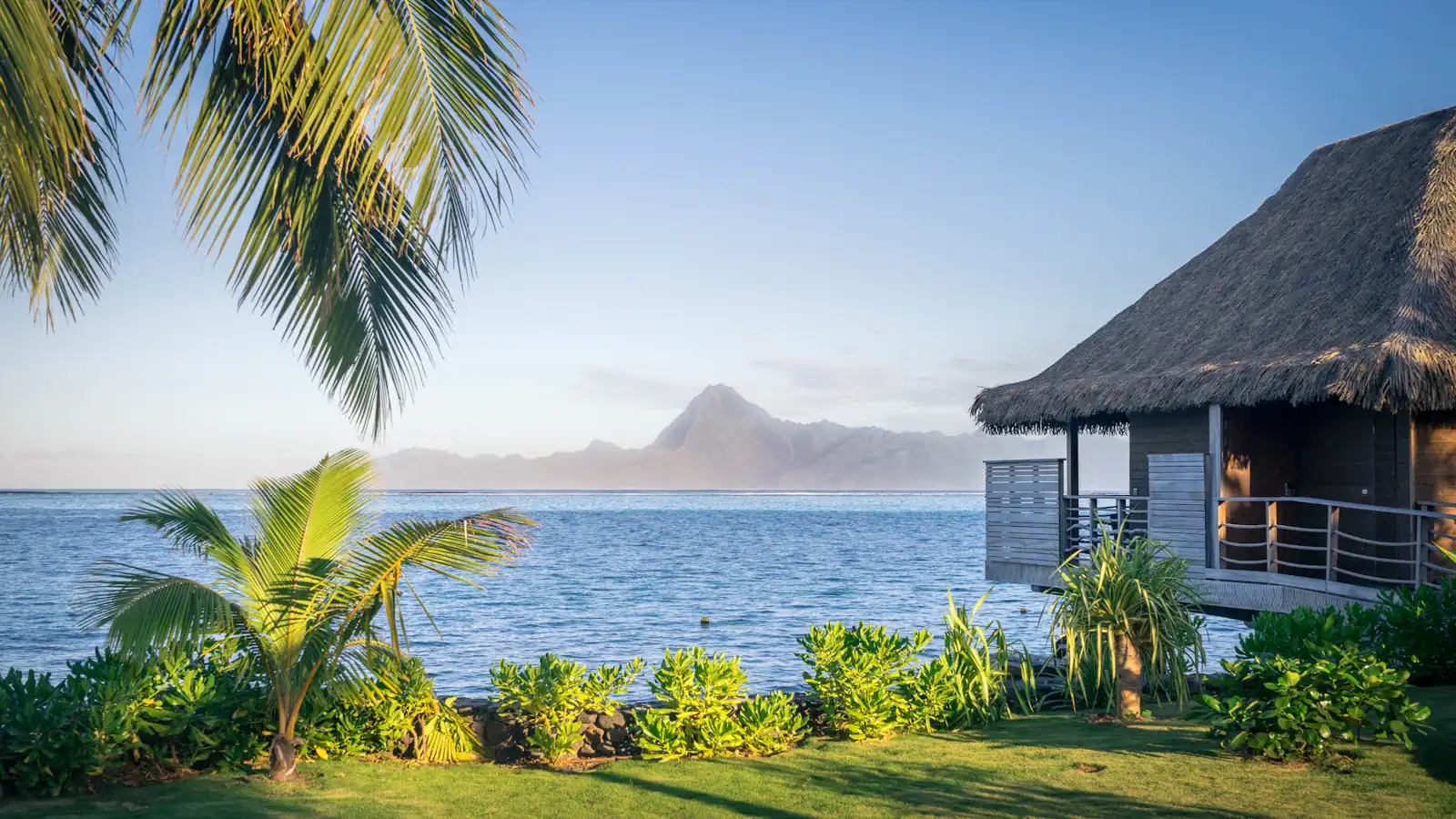a hut with a thatched roof overlooks the ocean
