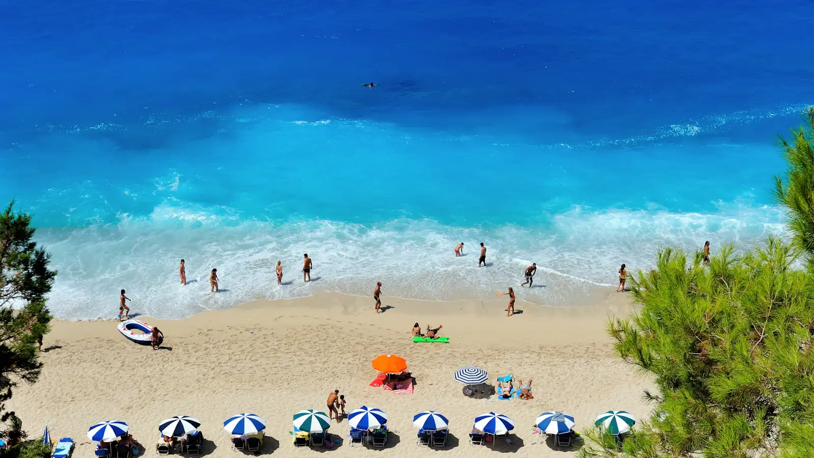 group of people swimming on beach