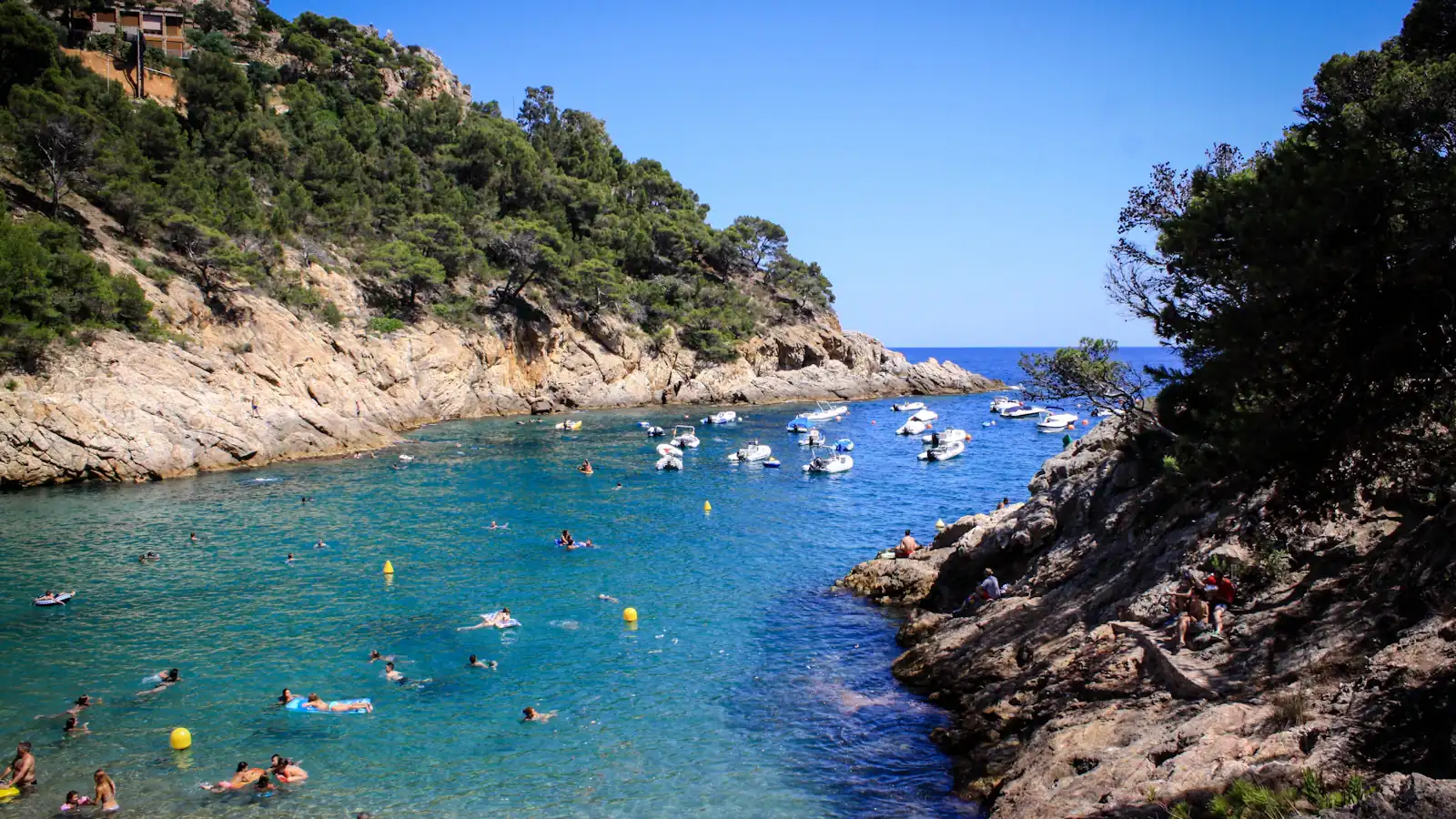 a group of people swimming in a body of water