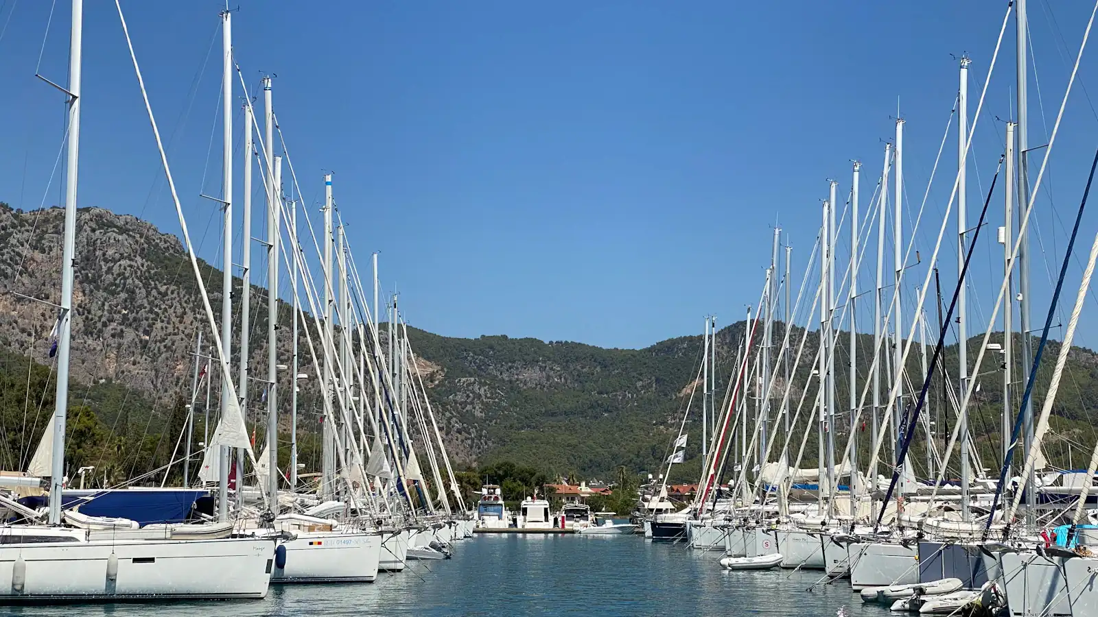 a bunch of sailboats are docked in the water
