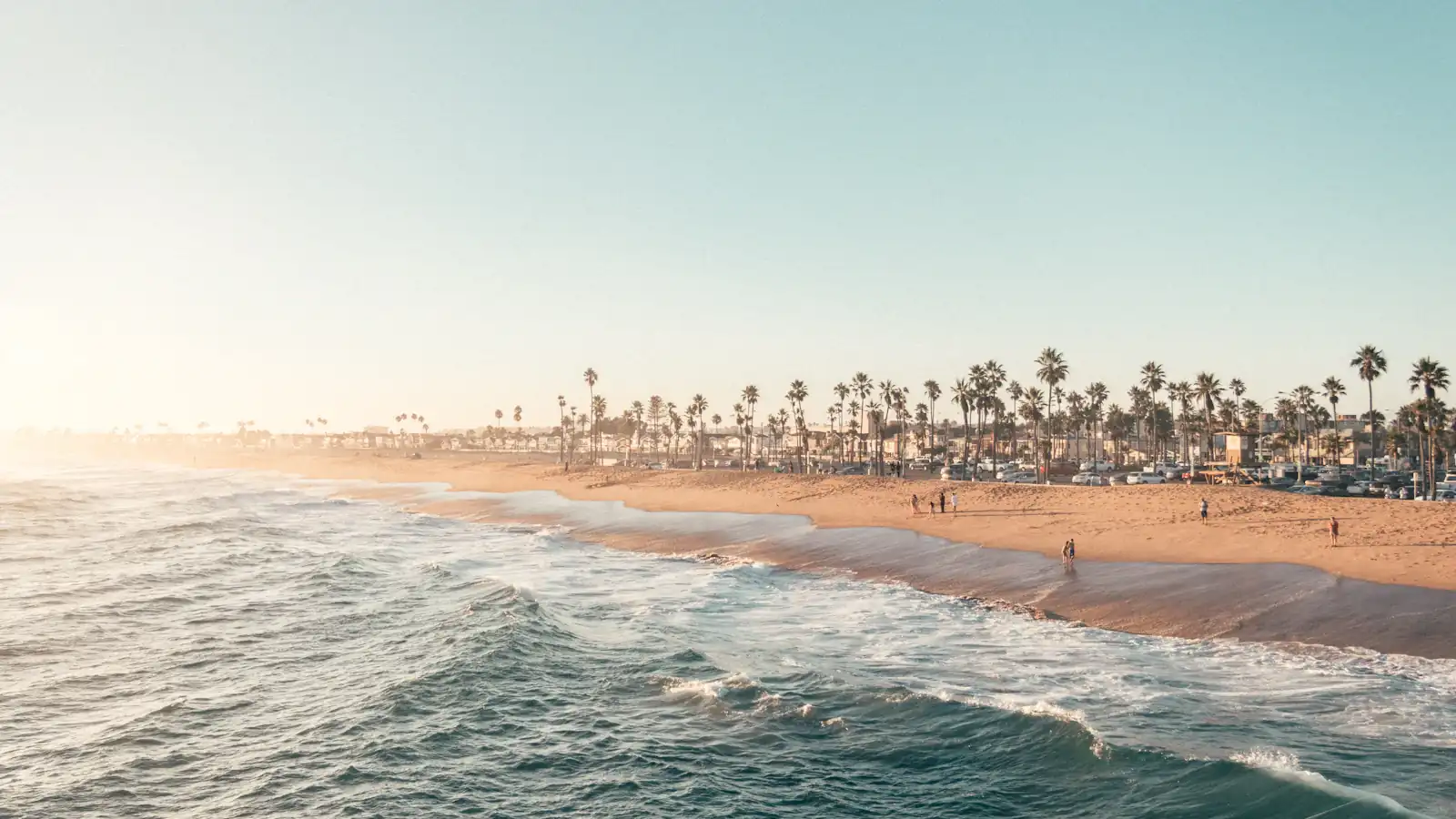 Waves rolling onto a sandy beach lined with palm trees under low sun